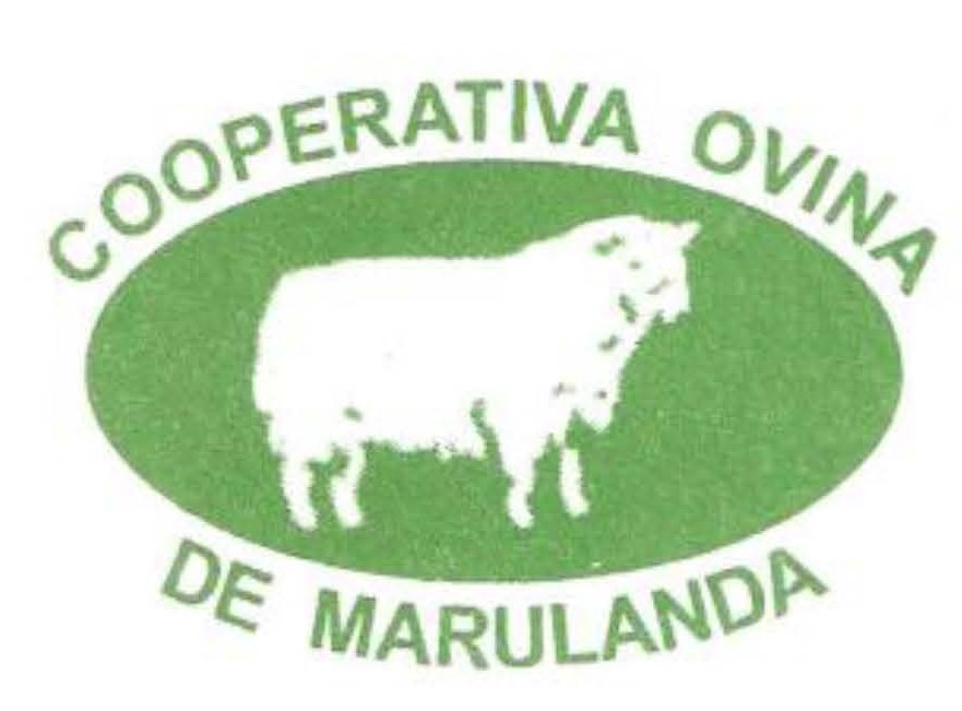 Logo Cooperativa (2)